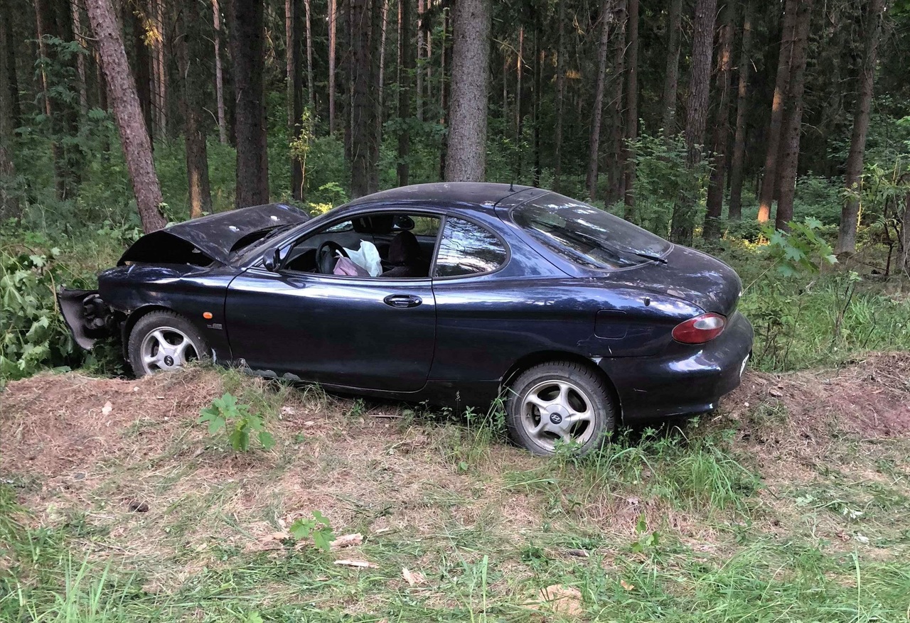 В Городецком районе автомобиль опрокинулся в кювет: погиб пассажир