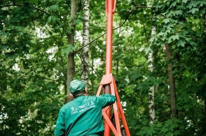 Новый арт-объект появился в нижегородском парке &laquo;Швейцария&raquo; - фото 2