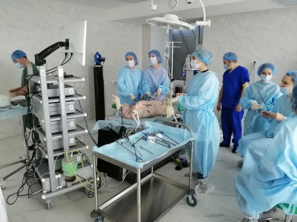 Первая операция на свинье прошла в НОЦ экспериментальной хирургии ПИМУ - фото 1
