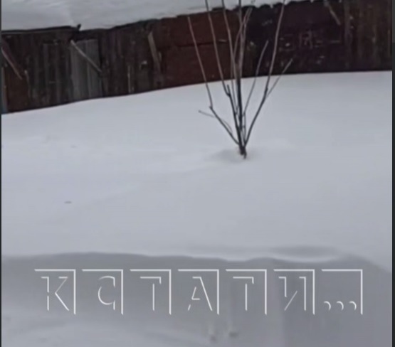 Сугробы заблокировали нижегородцам выход из подъезда - фото 1