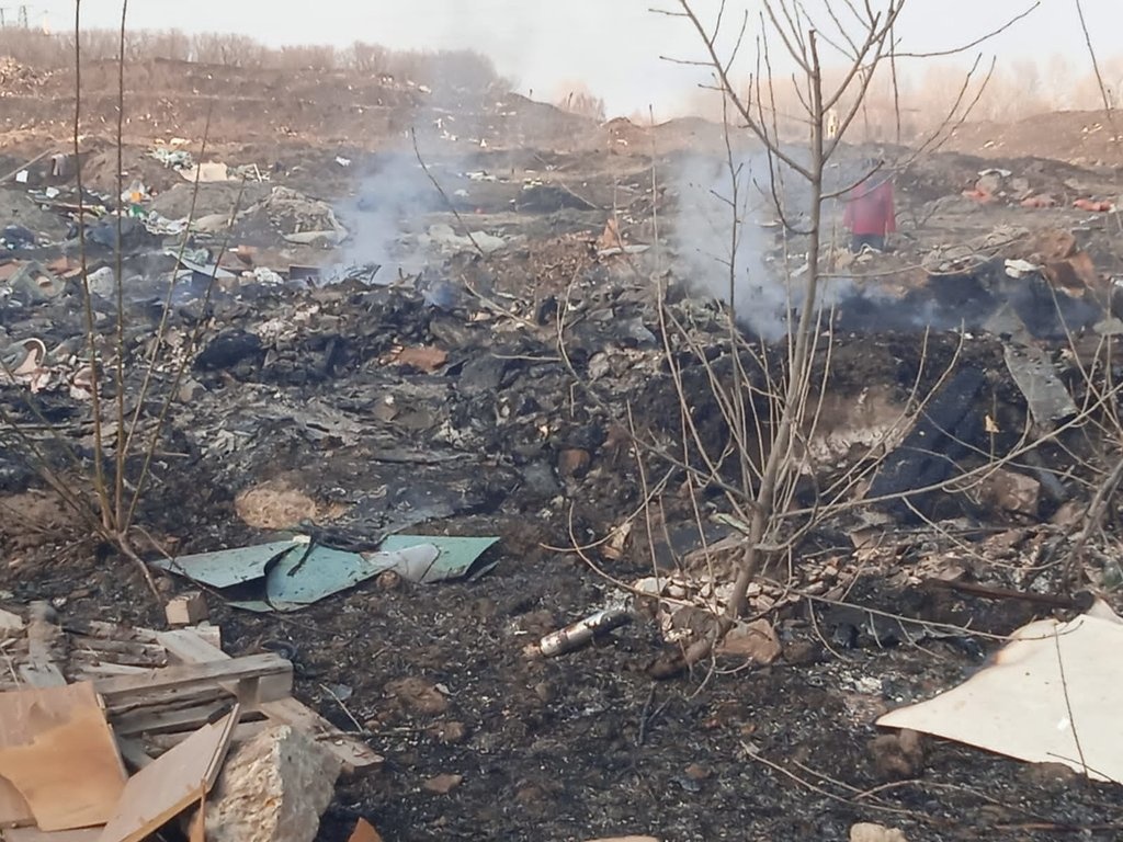 Артемовские луга снова горели в Нижегородской области  - фото 1