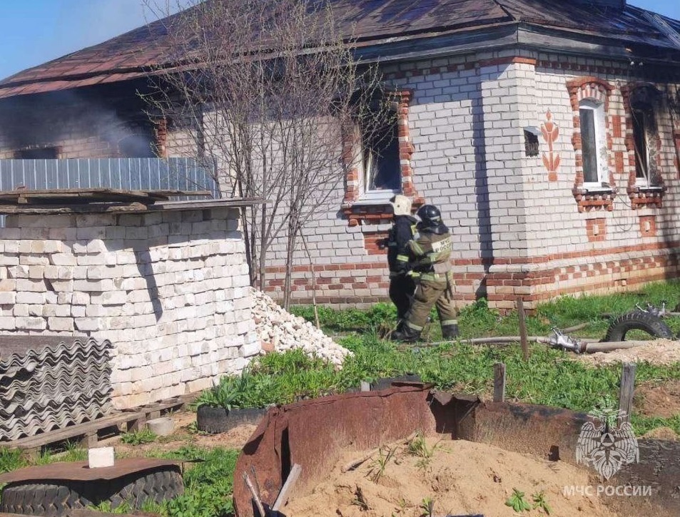 Мужчина погиб на пожаре в Нижегородской области - фото 1