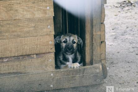 Восемь неожиданных вещей, за которые можно получить штраф