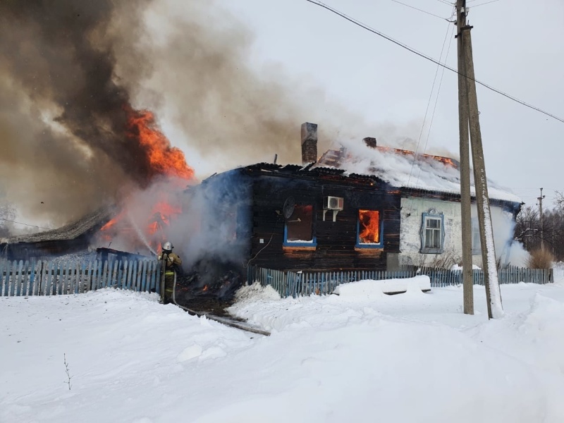 Два человека погибли в пожаре в Шарангском районе - фото 1