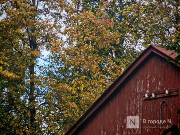 Та самая пушкинская осень: уютный фоторепортаж из Большого Болдина - фото 35