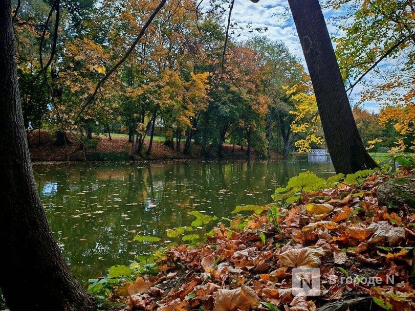 Опубликован прогноз погоды в Нижнем Новгороде на вторую половину октября - фото 1