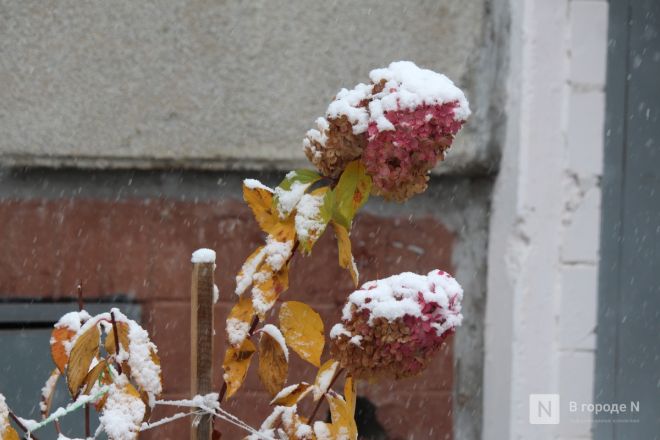 Фоторепортаж: как Нижний Новгород переживает снежную бурю 1 ноября - фото 3