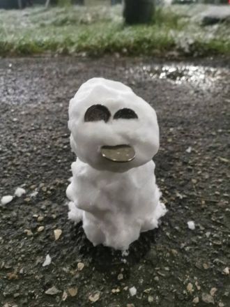 Нижегородцы делятся фотографиями первого снега и лепят снеговиков - фото 7