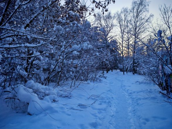 Аномальные морозы в Нижнем Новгороде: фоторепортаж из заснеженных парков - фото 46