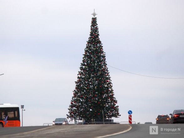 Главную новогоднюю елку установили в Нижнем Новгороде - фото 3