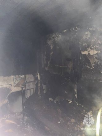 Труп нашли на месте страшного пожара в Приокском районе - фото 2