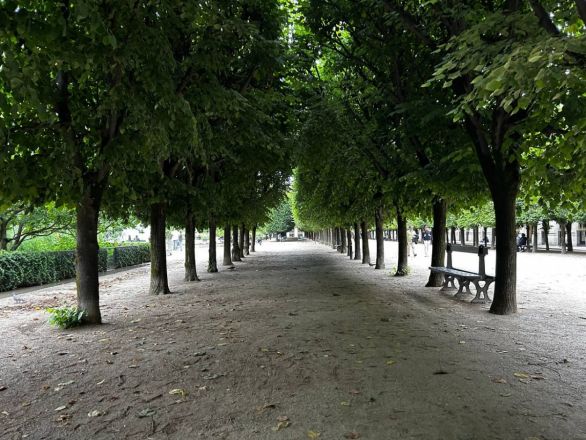 Восторг, бомжи и невкусная еда: нижегородка рассказала об удивительном путешествии в Париж - фото 24