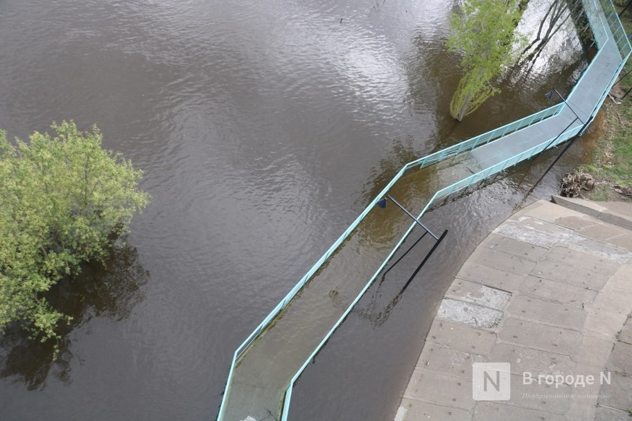 Режим повышенной готовности введен в Нижегородской области из-за паводка - фото 1