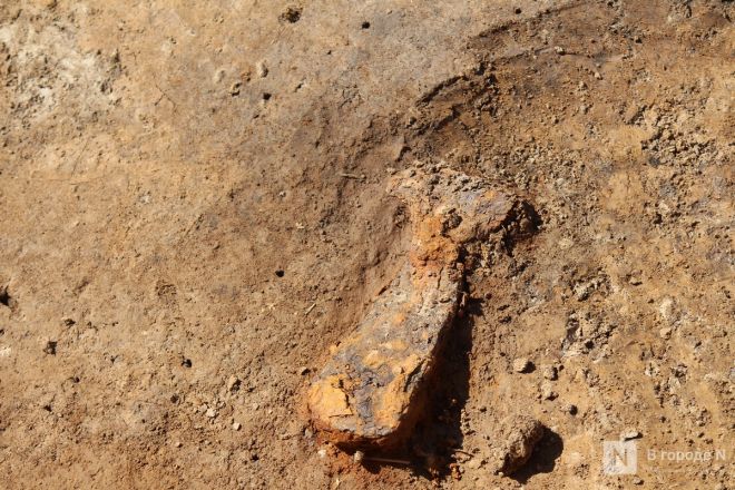 Могилы коней и старинные монеты: фоторепортаж с археологических раскопок в Нижегородской области - фото 107