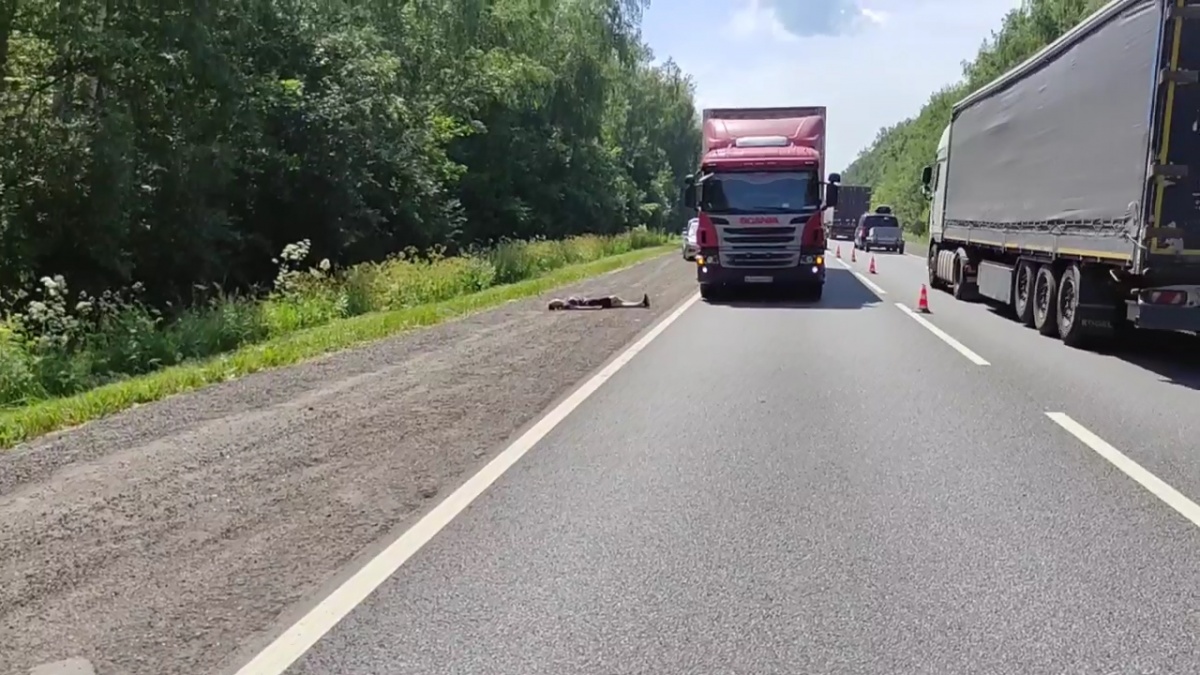 Фура насмерть сбила пешехода на трассе в Нижегородской области