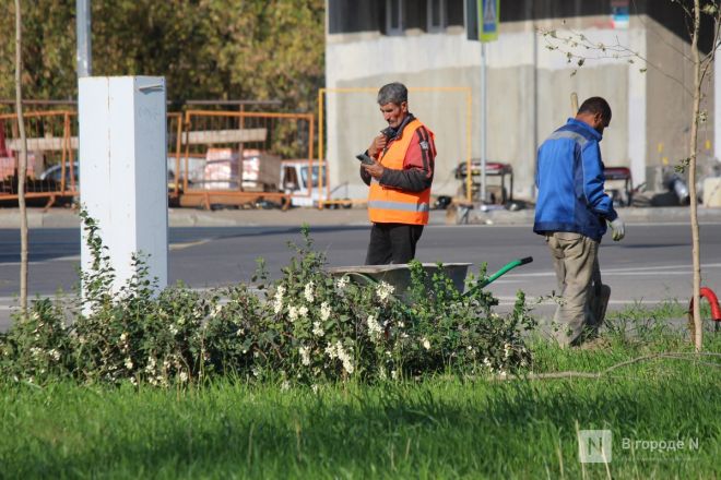 Благоустройство на 100 миллионов: каким станет сквер у метромоста в Нижнем Новгороде - фото 75