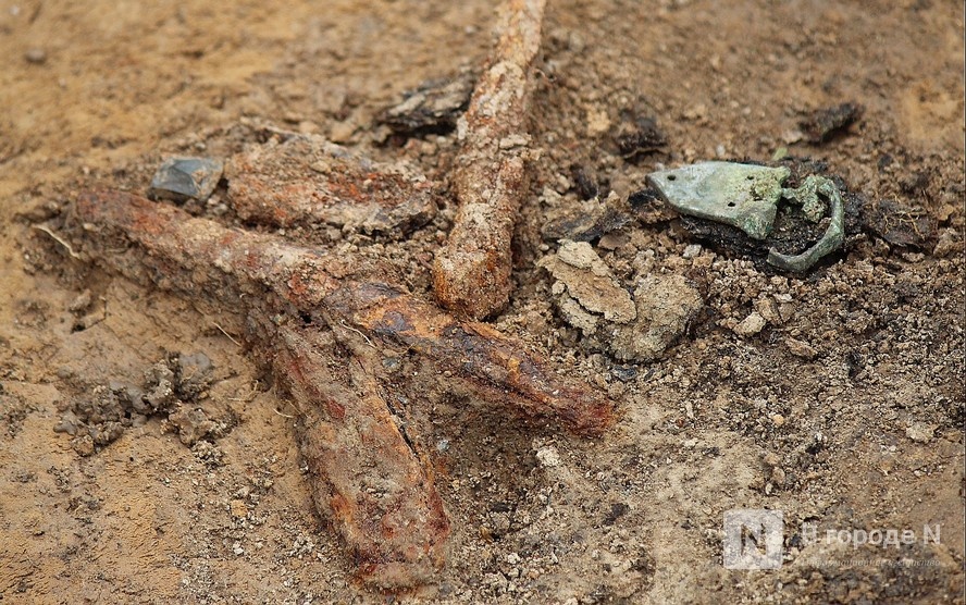 14 древних захоронений обнаружили археологи под Вачей - фото 1