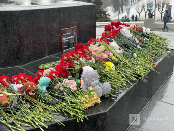 Нижегородцы несут цветы к мемориалу после теракта - фото 7