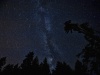 Самый яркий летний звездопад смогут увидеть нижегородцы