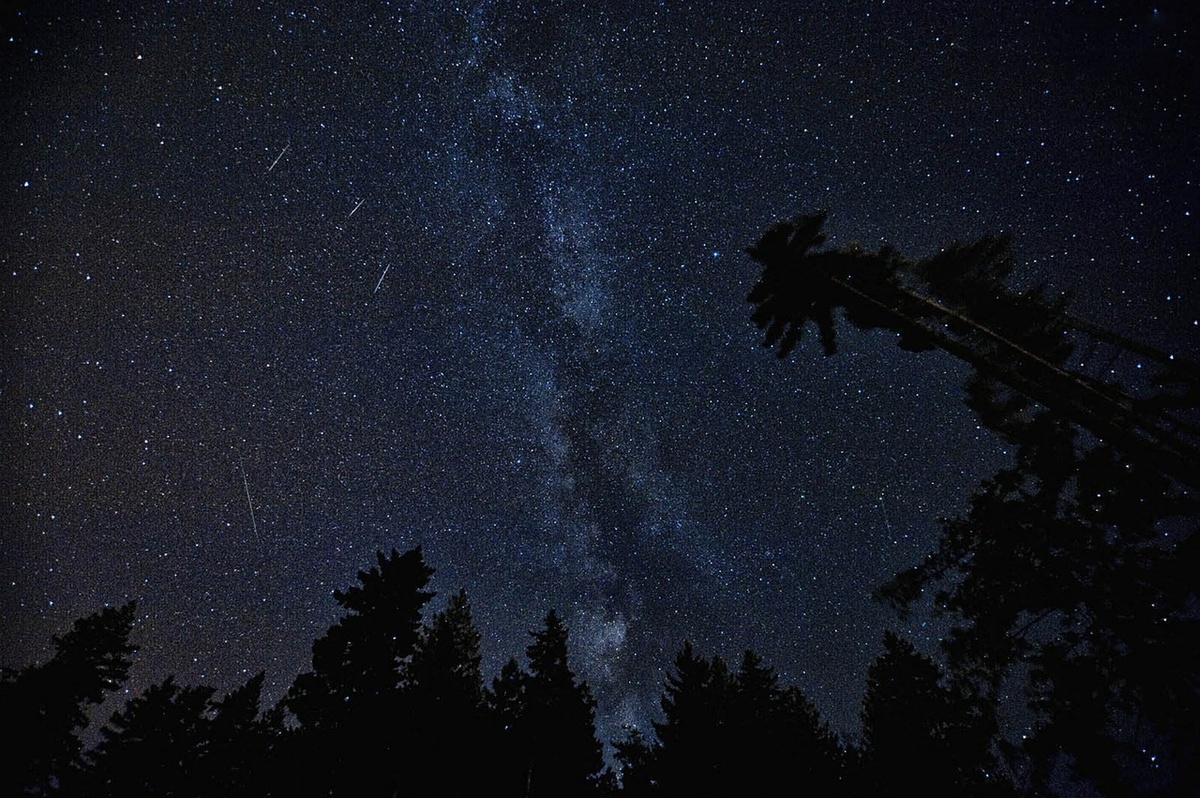 Самый яркий летний звездопад смогут увидеть нижегородцы - фото 1