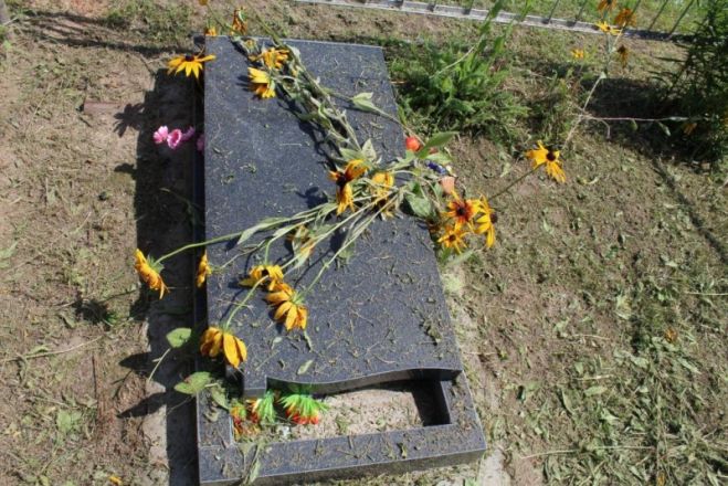 Разгромивший кладбище нижегородский школьник задержан - фото 2