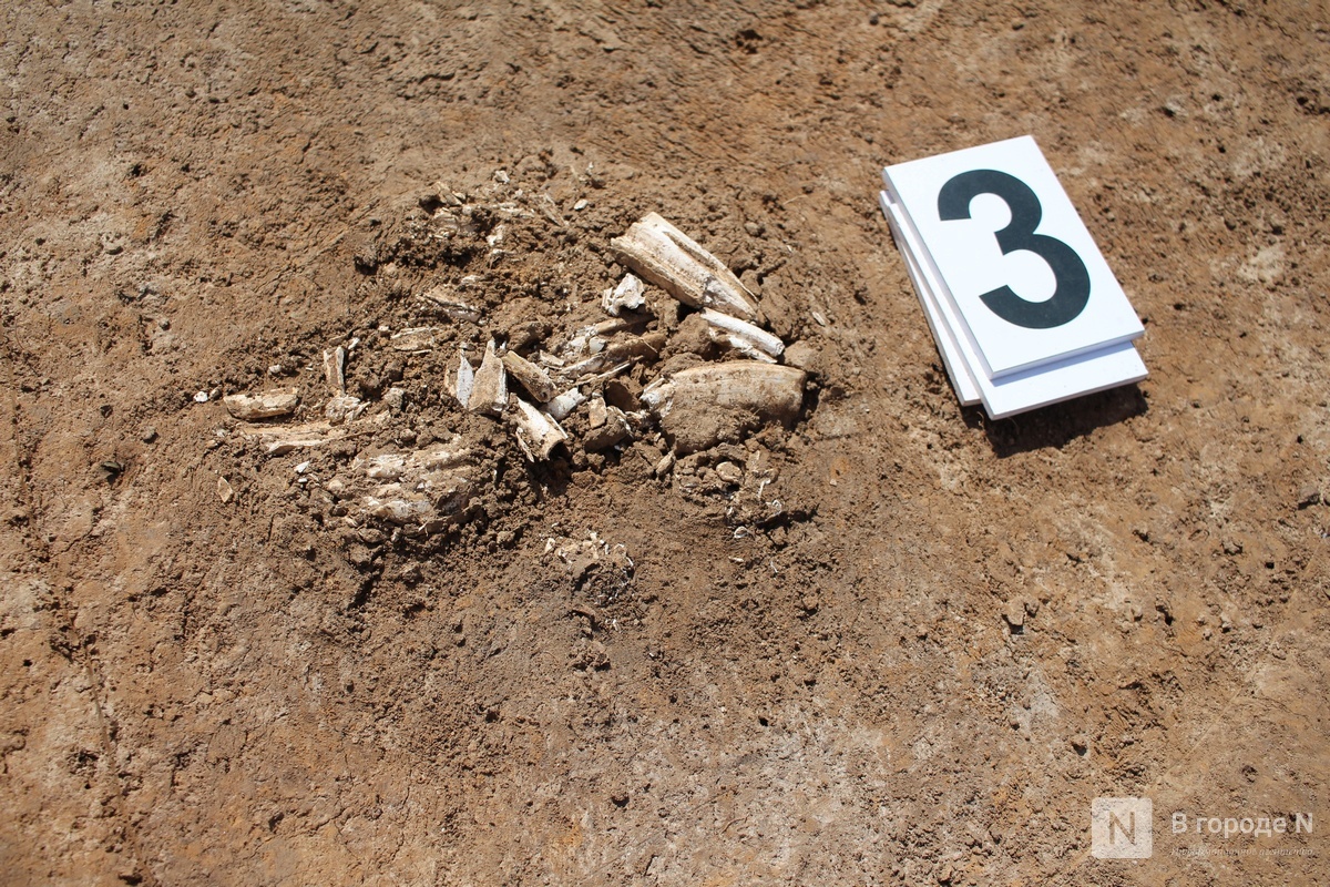 Более 60 древних могил нашли археологи в Вачском округе - фото 2