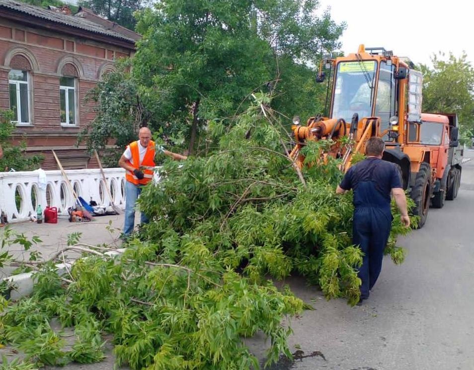 Больше всего деревьев повалило шквалистым ветром в Нижегородском и Советстком районах - фото 1