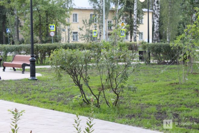 Опубликованы фото обновленного сквера с фонтаном в Нижнем Новгороде - фото 62