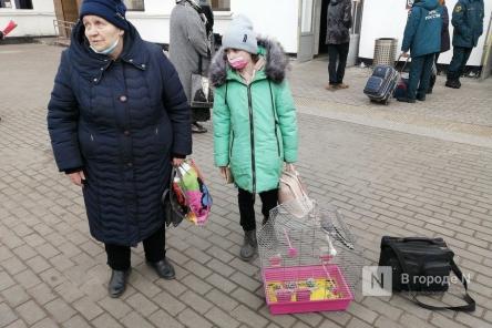 Более 70 млн рулей на размещение беженцев получит Нижегородская область в 2022 году