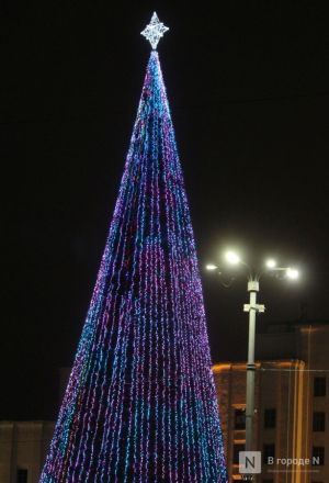 Бобры, костелы и закрытые музеи: плюсы и минусы отдыха в Белоруссии зимой - фото 47