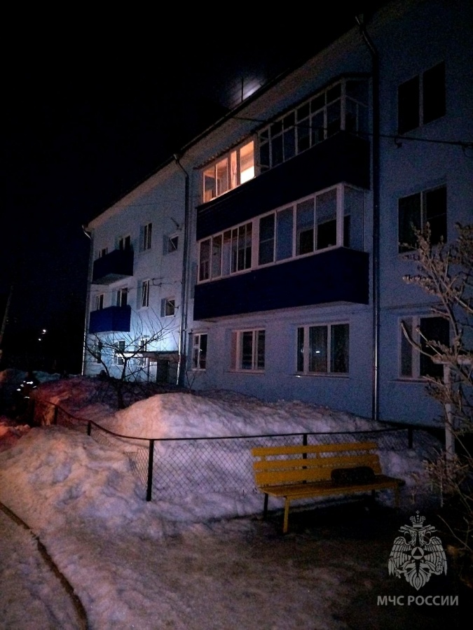 Женщина погибла на пожаре в Воротынском округе - фото 1