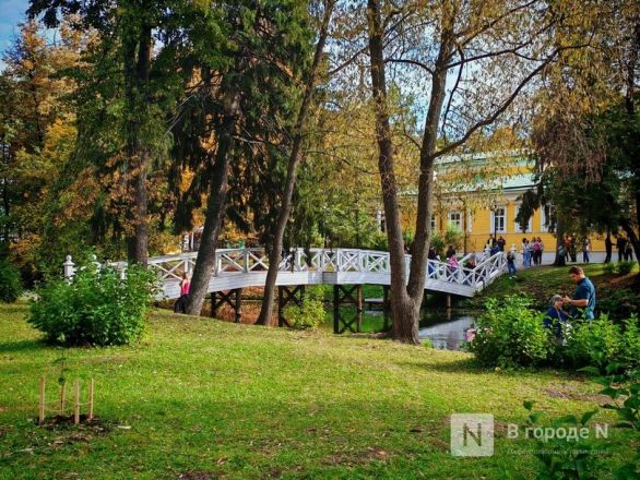 Та самая пушкинская осень: уютный фоторепортаж из Большого Болдина - фото 39