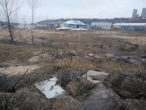 С арендаторами участков на Гребном канале могут расторгнуть договор из-за «нехозяйского отношения»