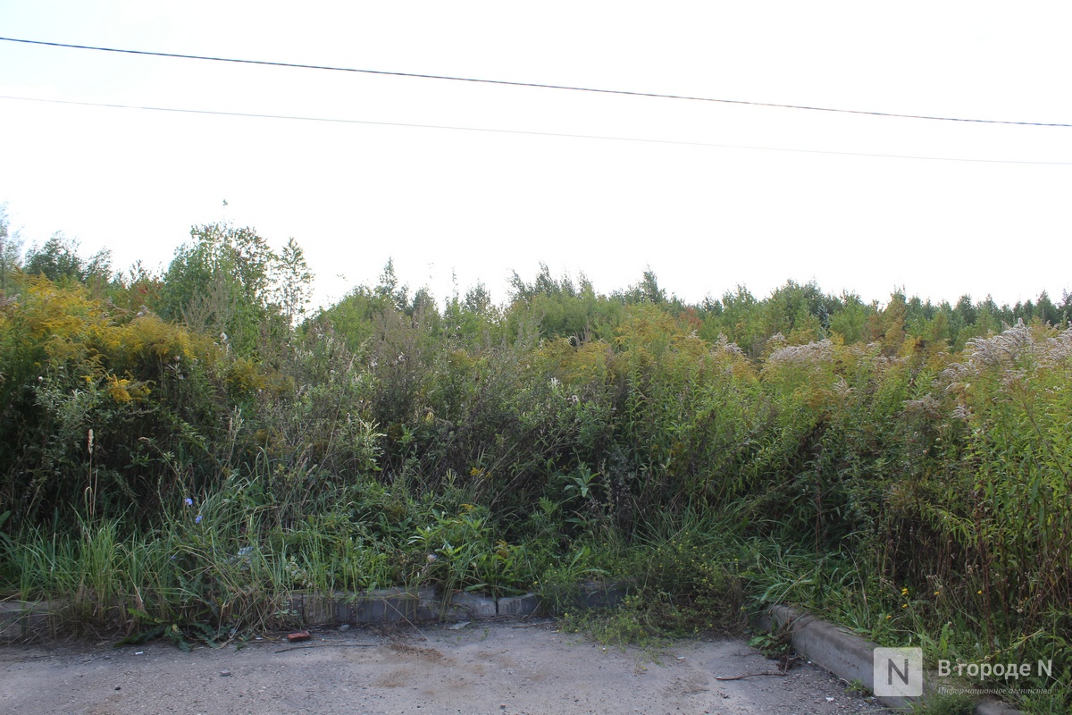 &laquo;Не хотим дышать пылью&raquo;: почему разгорелся скандал вокруг строительства склада Wildberries в Новинках и что будет дальше - фото 14