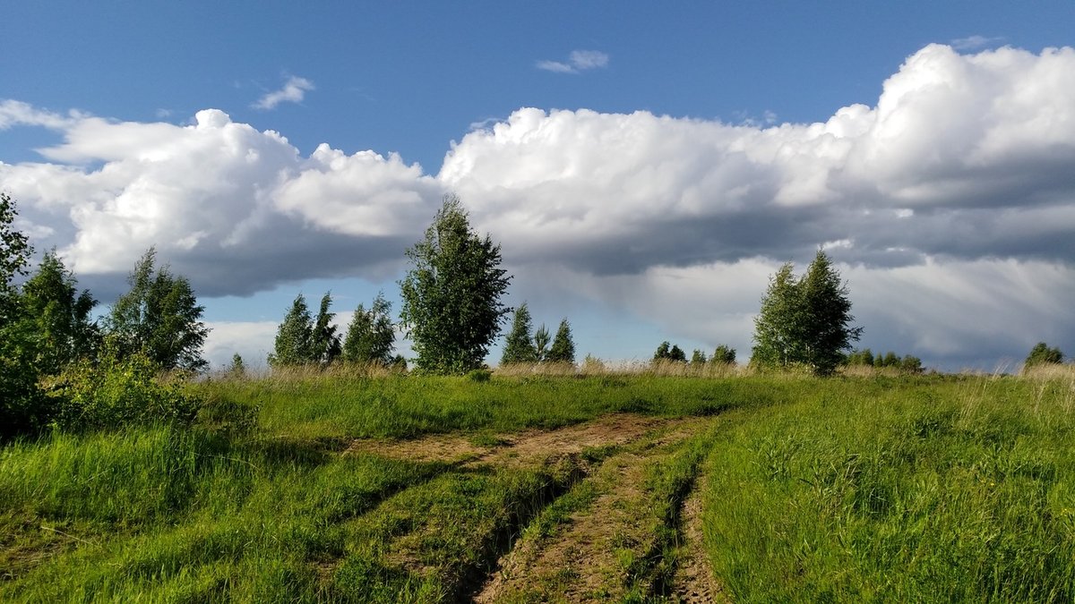 Гидрометцентр представил прогноз погоды в России на лето