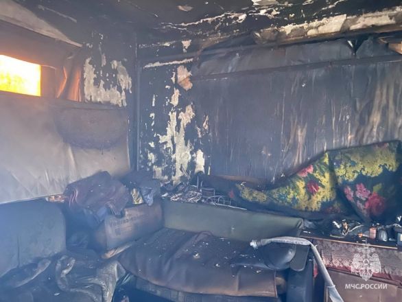 Опубликованы фото с места пожара с двумя погибшими в Нижегородской области - фото 3