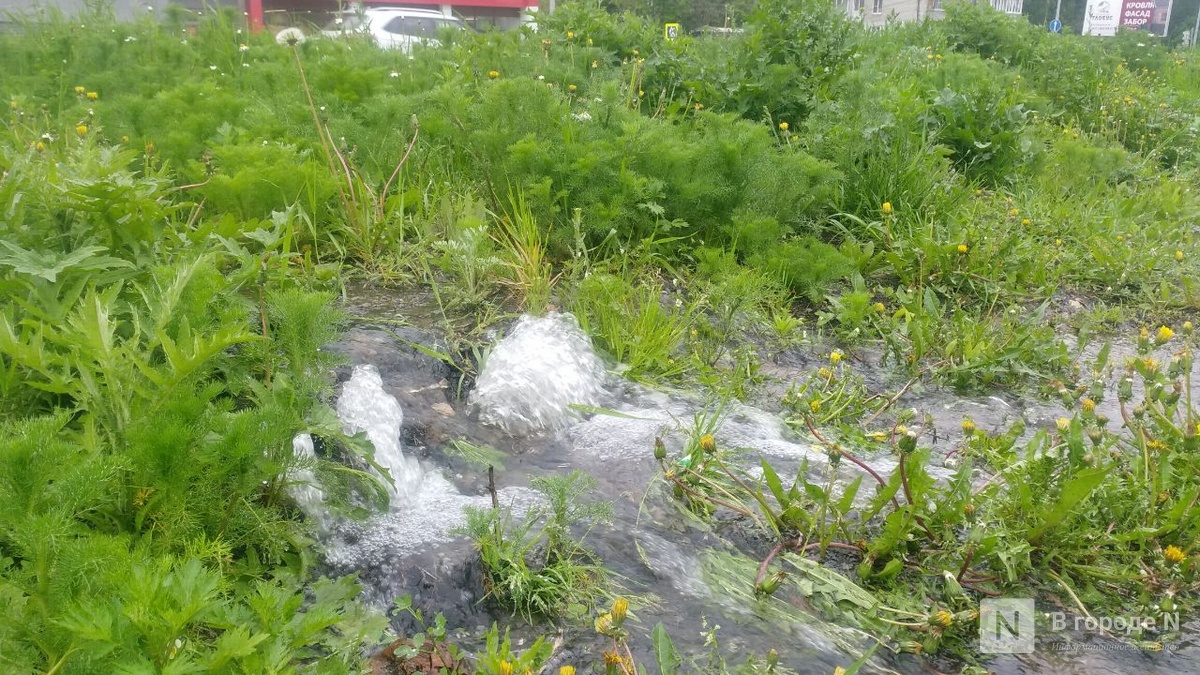 Стала известна причина коммунальной аварии на улице Родионова в Нижнем Новгороде - фото 1
