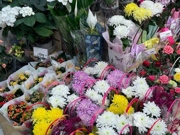 Мужчины, готовьтесь. Рассказываем, сколько стоят цветы к 8 марта в Нижнем Новгороде - фото 98