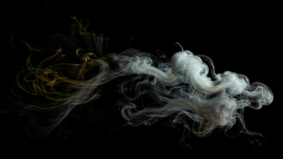 Путин поддержал идею Глеба Никитина о полном запрете вейпов и «айкосов»