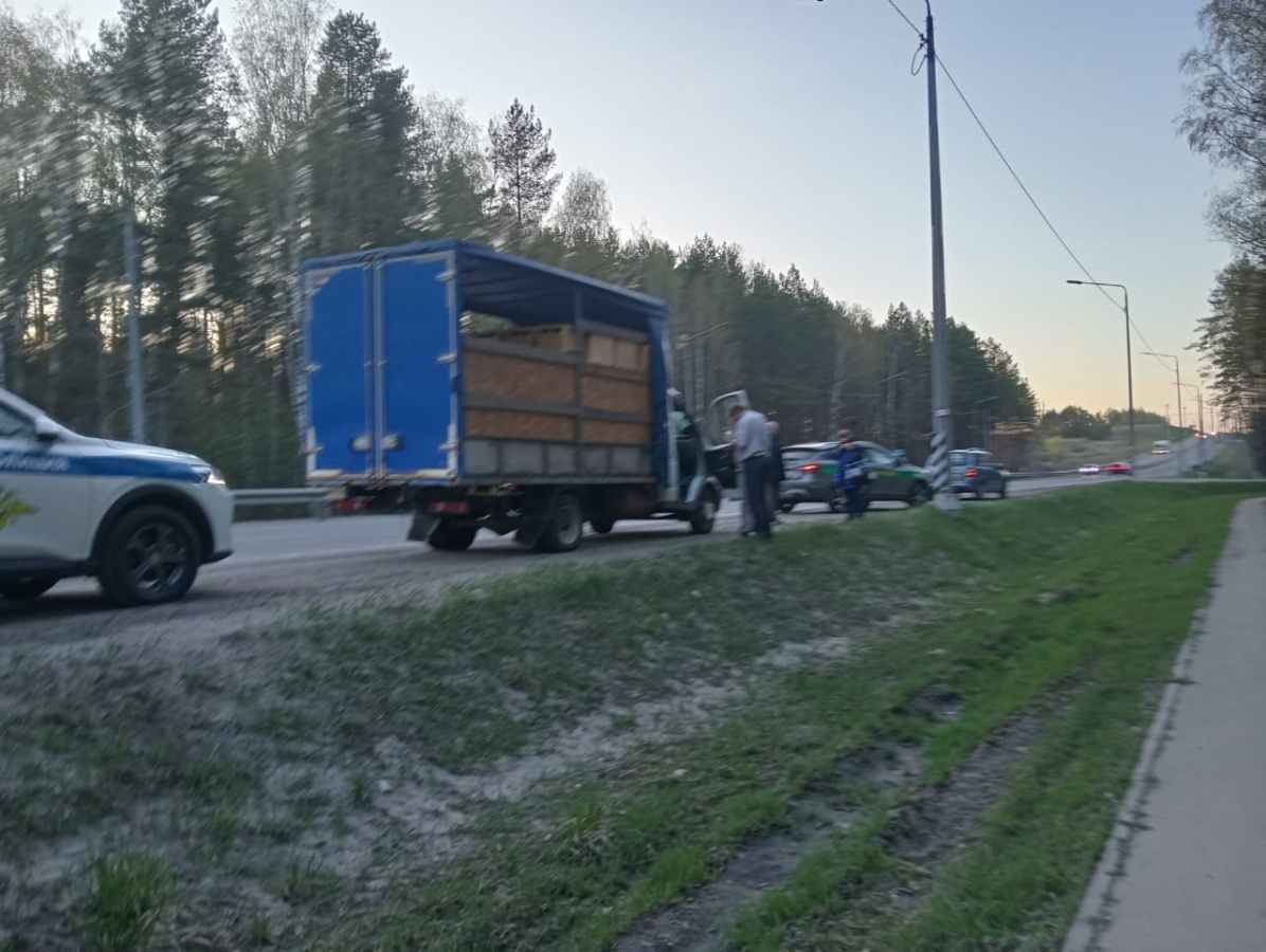 Зараженные пчелы-нелегалы задержаны в Нижегородской области - фото 2