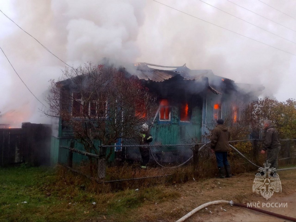 Мужчина погиб на пожаре в Нижегородской области накануне 70-летия - фото 1