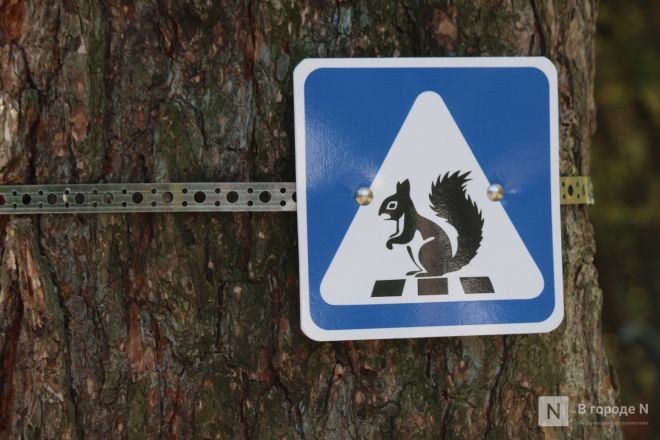 Фоторепортаж: как выглядит Сормовский парк, который ждет масштабная реконструкция - фото 80