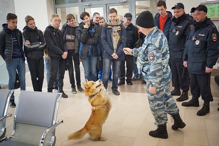 Искать наркотики на вокзале нижегородским полицейским помогает корги