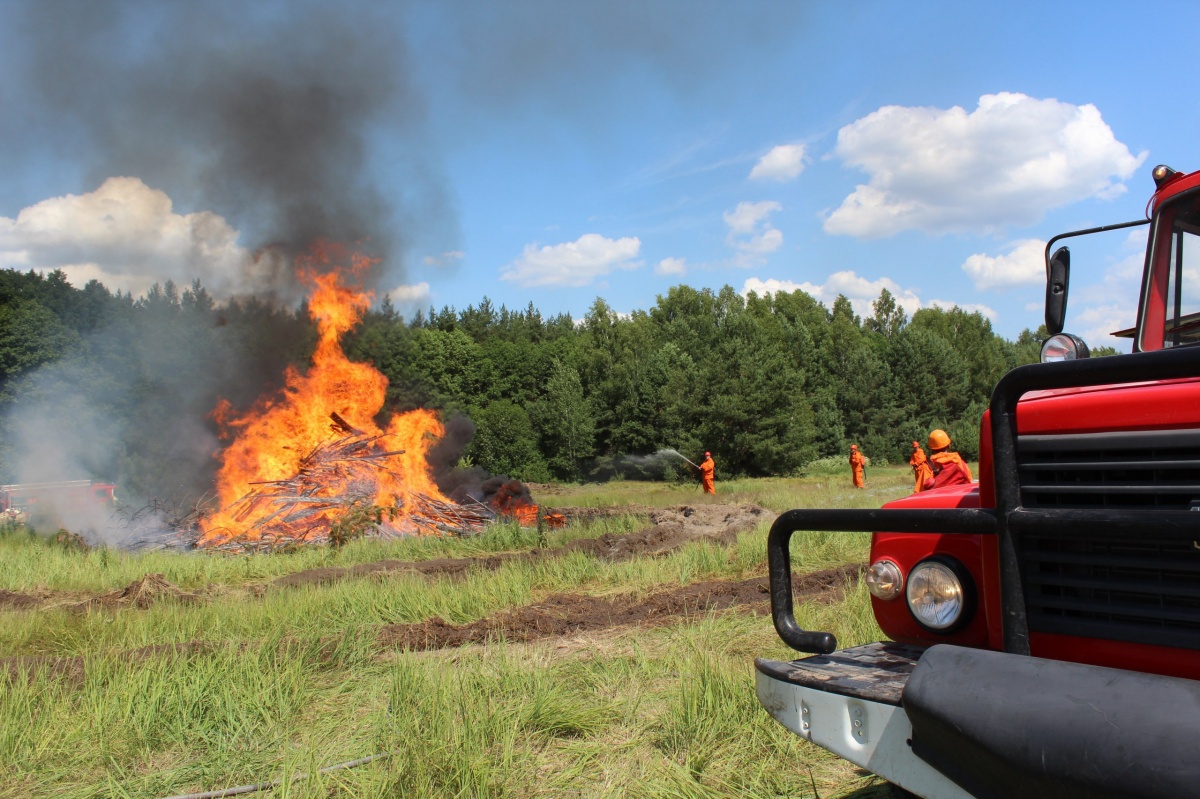 Пожароопасный сезон в Нижегородской области начнется 17 апреля - фото 1