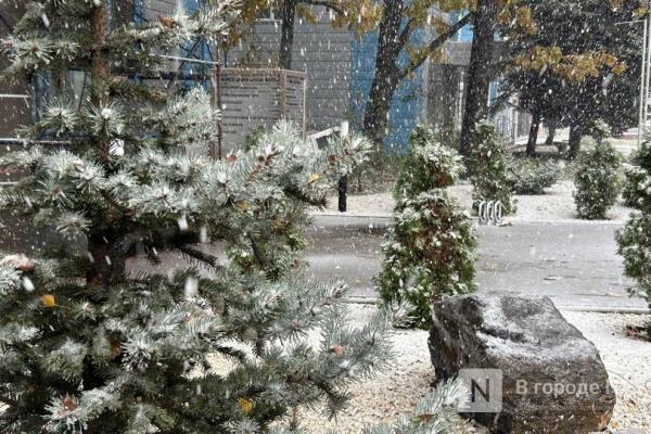 Дождь со снегом ожидаются в Нижнем Новгороде в выходные