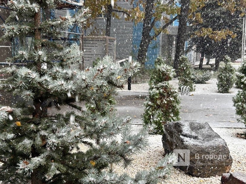 Снег выпал в Нижнем Новгороде в апреле - фото 1