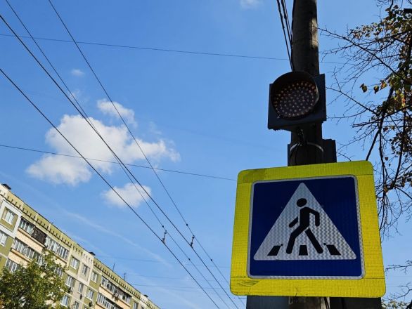 Новые светофоры появились около 15 нижегородских школ - фото 2