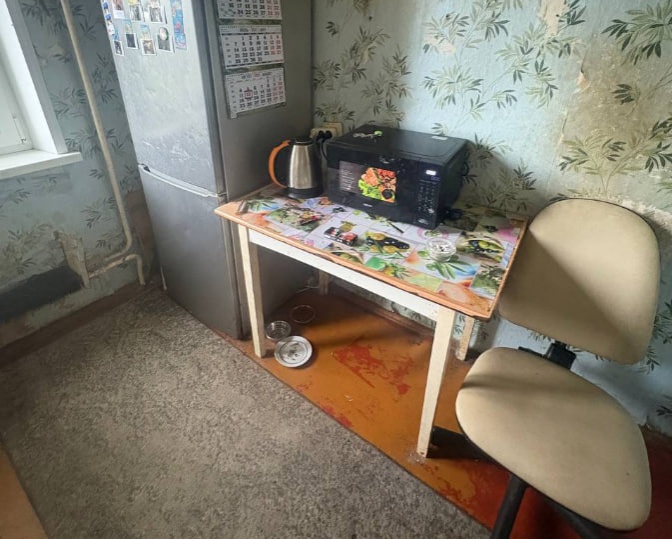 Полиция проверила жалобы на содержание ребенка в опасных условиях в Балахне - фото 2