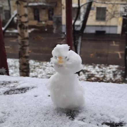 Нижегородцы делятся фотографиями первого снега и лепят снеговиков - фото 6