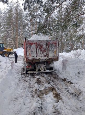 Шалабаев рассказал о поимке нижегородцев, свозящих грязный снег в лес - фото 1